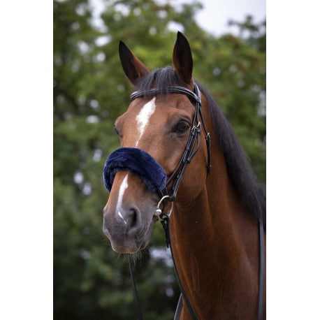 Accesorio ecuestre Funda muserola - Teddy - Equithème para equitación - vista 3