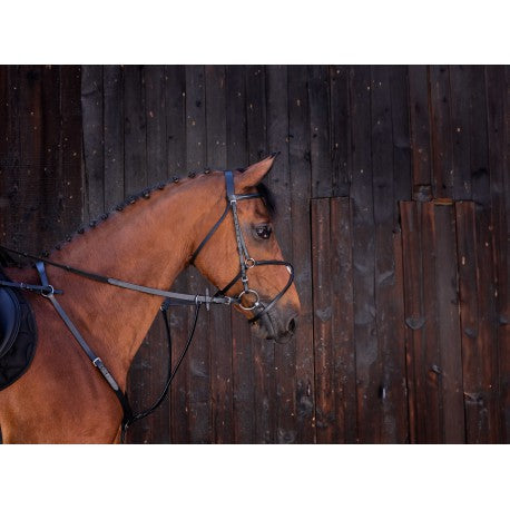 Gamarra con anillas - Riding World