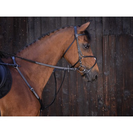 Gamarra con anillas - Riding World