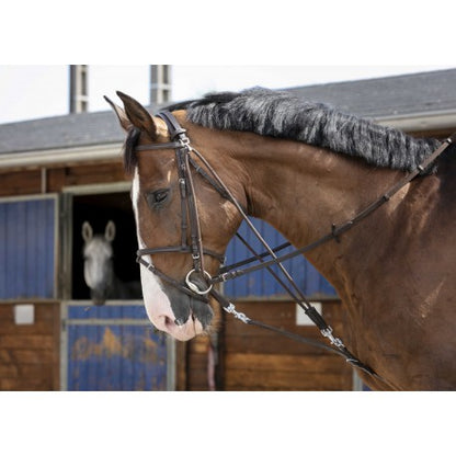 Gogue con poleas - Riding World