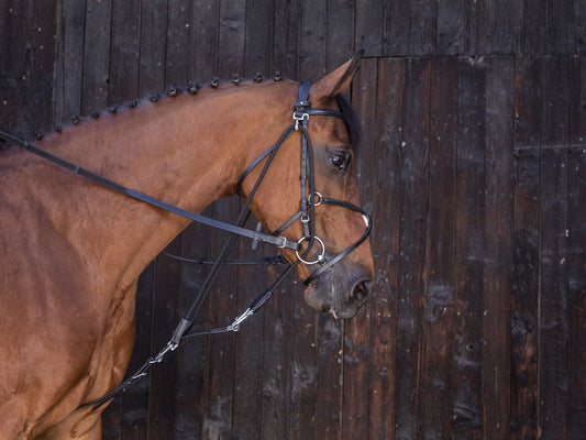 Gogue con poleas - Riding World