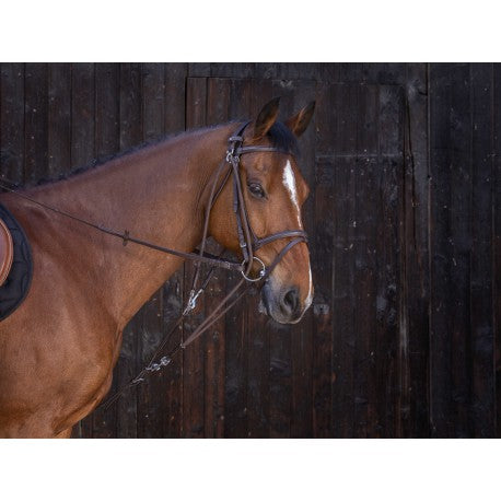 Gogue con poleas - Riding World