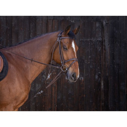 Gogue con poleas - Riding World