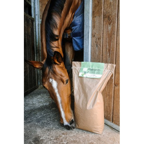 Golosinas , sabor manzana - Hippotonic