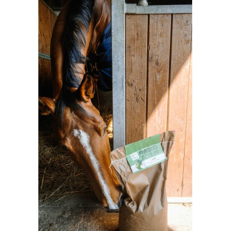 Golosinas , sabor manzana - Hippotonic