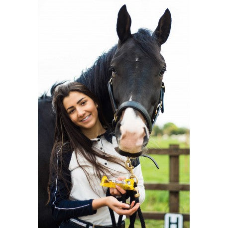 Golosinas para caballos - Stud Muffins