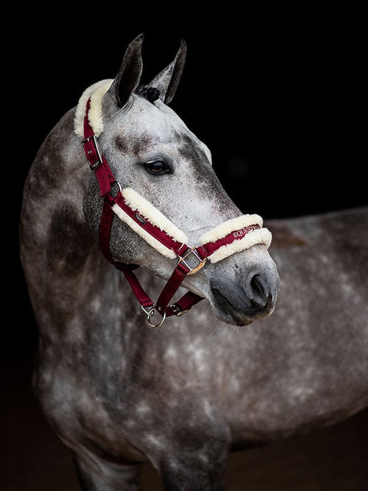 Fur cabezada de cuadra & ramal Equestrian Stockholm Fur cabezada de cuadra & ramal Bordeaux para equitación - vista 2