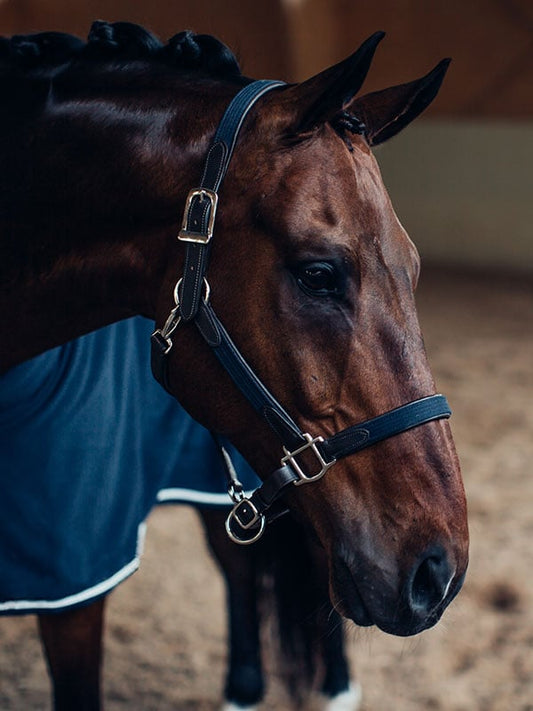 Leather cabezada de cuadra & Lead Chain Equestrian Stockholm Leather cabezada de cuadra & Lead Chain para equitación - vista 2