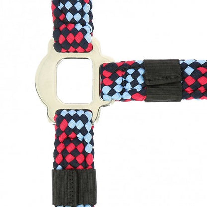 Halter + correa - Trenzado - Norton