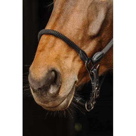 Halter de cuero/cuerda - Norton
