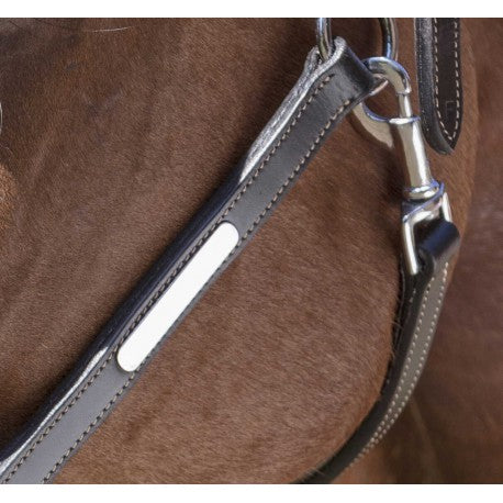 Halter de cuero PRO - Grooming - Norton