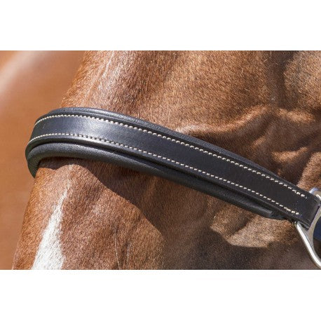 Halter de cuero PRO - Grooming - Norton
