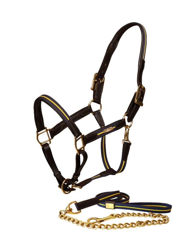 Leather Halter & Lead Chain Equestrian Stockholm Leather Halter & Lead Chain vista principal