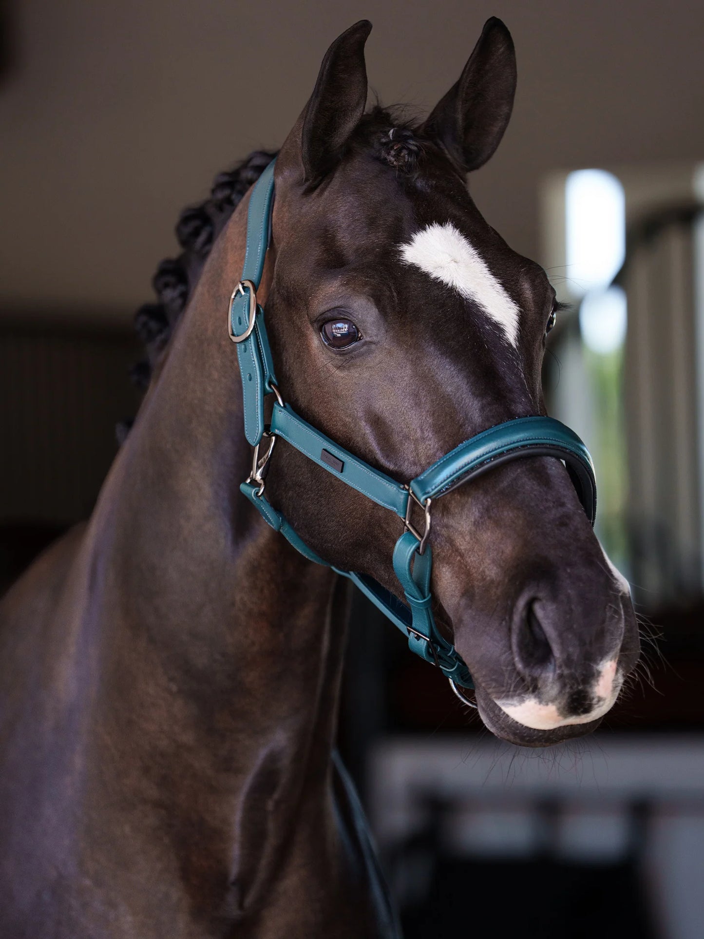 Cabezada de Cuero Anatómica Glimmer – Equestrian Stockholm