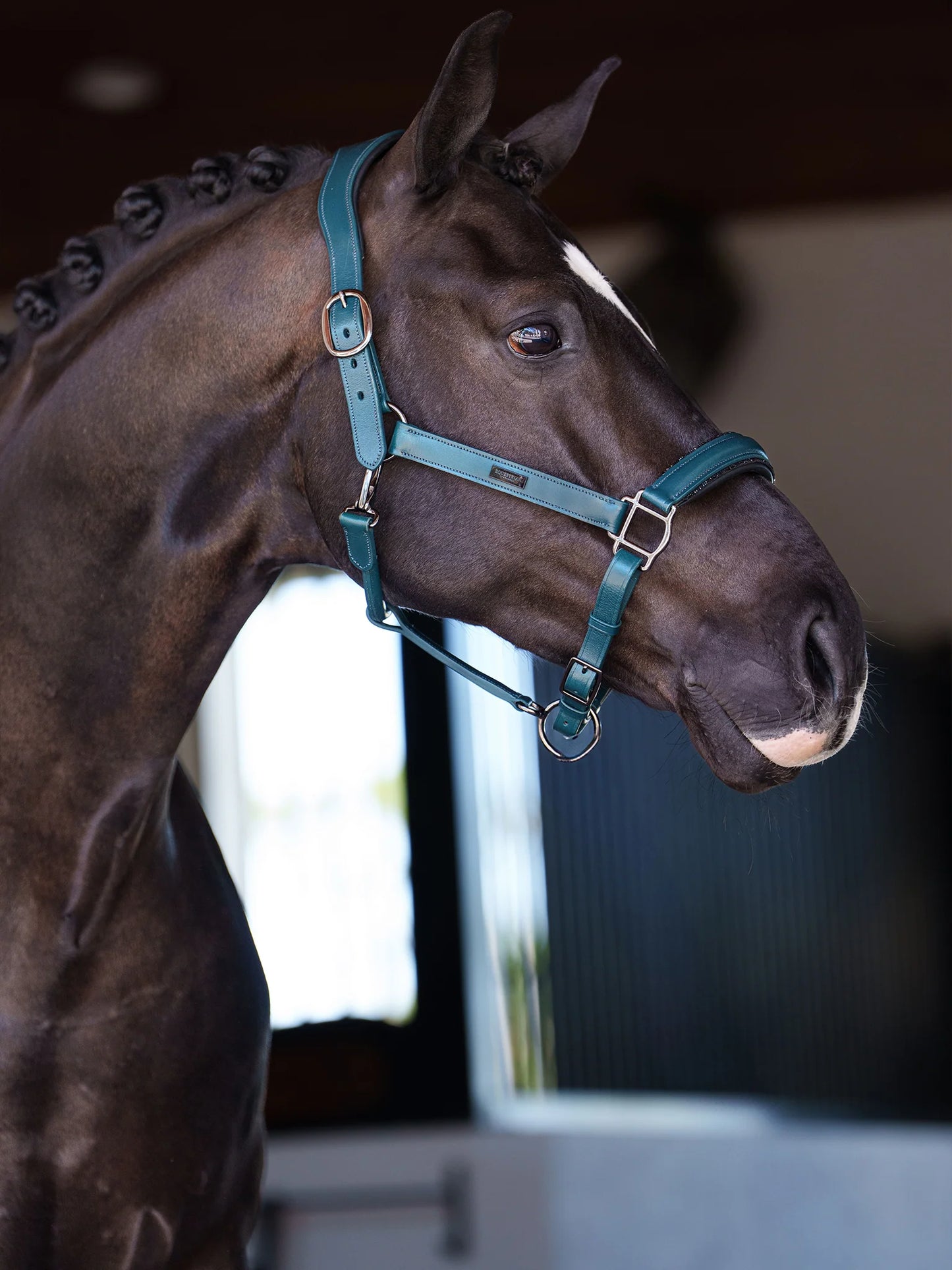 Cabezada de Cuero Anatómica Glimmer – Equestrian Stockholm