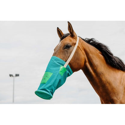 Accesorio ecuestre Bolsa de alimentación, lona - Hippotonic para equitación
