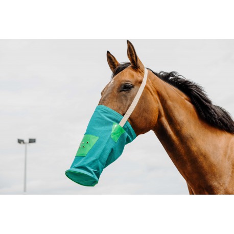 Accesorio ecuestre Bolsa de alimentación, lona - Hippotonic para equitación