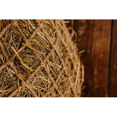 Natural - Red de heno - Hippotonic - Rojo