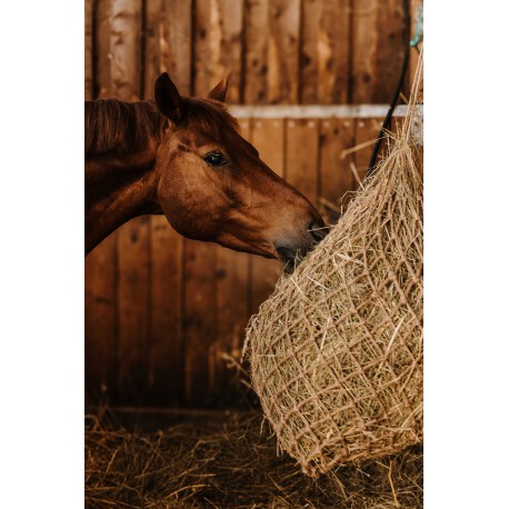 Natural - Red de heno - Hippotonic - Rojo