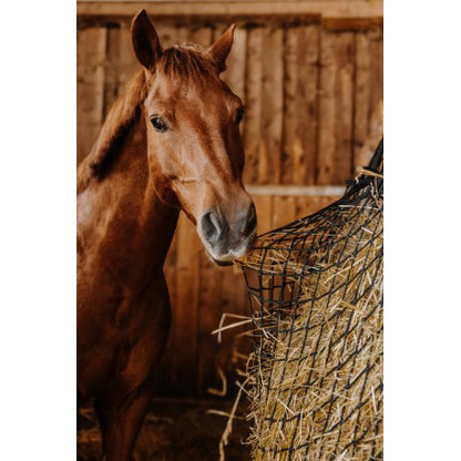 Rectángulo - Red de heno - Hippotonic - Rojo para equitación - vista 3