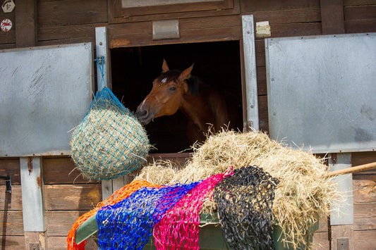 Red de heno - Hippotonic - Rojo