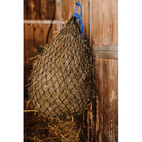 Temperatura caliente - Hay Net - Hippotonic