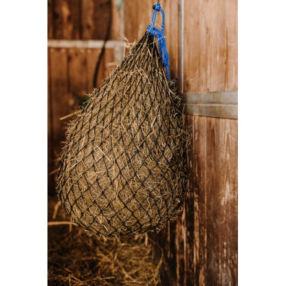 Temperatura caliente - Hay Net - Hippotonic