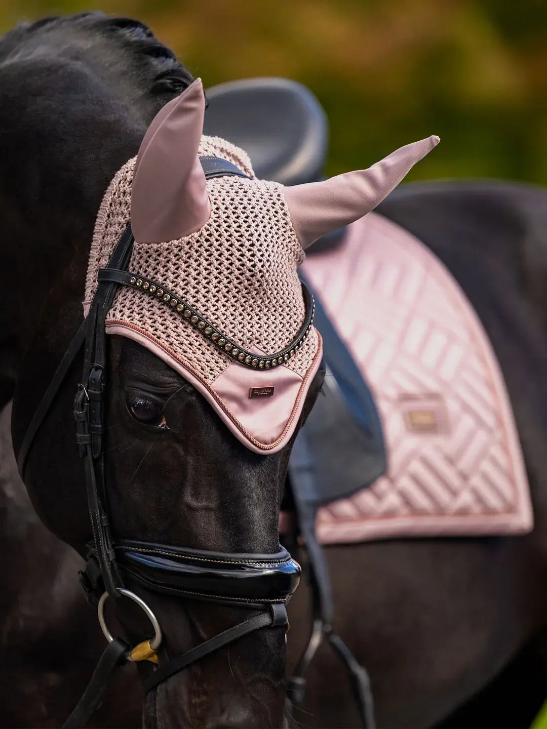 Orejeras Midsummer Blush Equestrian Stockholm detalle