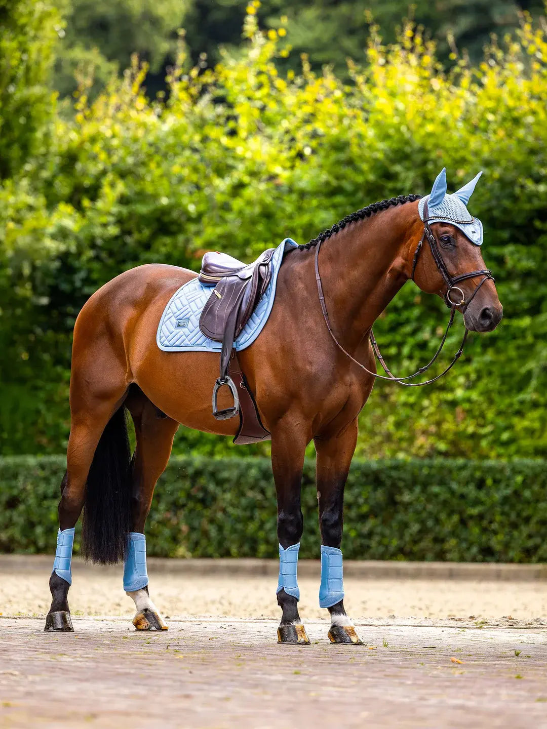 Mantilla Salto Azul Midsummer Equestrian Stockholm - vista 4