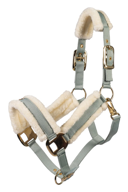 Cabezada Limone Elegant HKM para equitación - vista 2