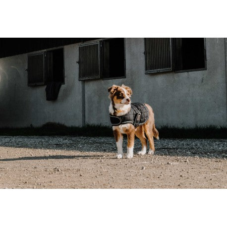 EQUITHÈME Manta para perro - Je T'Aime - T.039 para equitación - vista 6