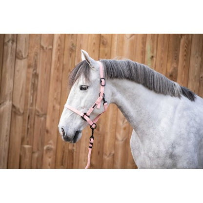 Licol LC Vibes - Lami Cell