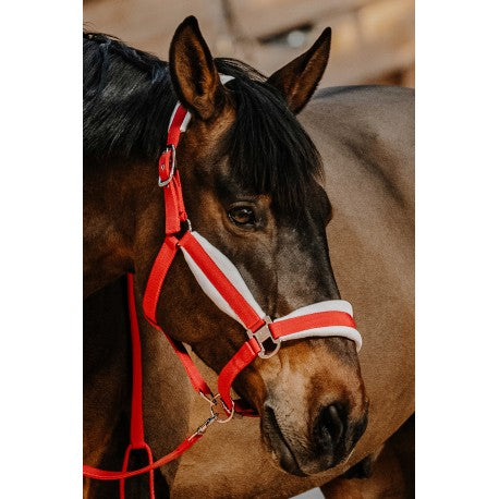 Licol + longe - Xmas - Equithème - Equithème