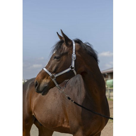 Cabezadas Licol -Nylon Soft - Norton para equitación - vista 6