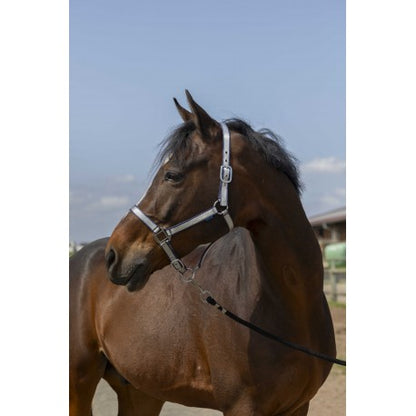 Cabezadas Licol -Nylon Soft - Norton para equitación - vista 6