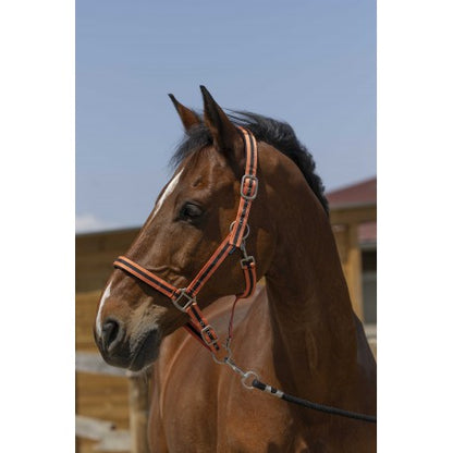 Cabezadas Licol - Satine - Norton para equitación - vista 5