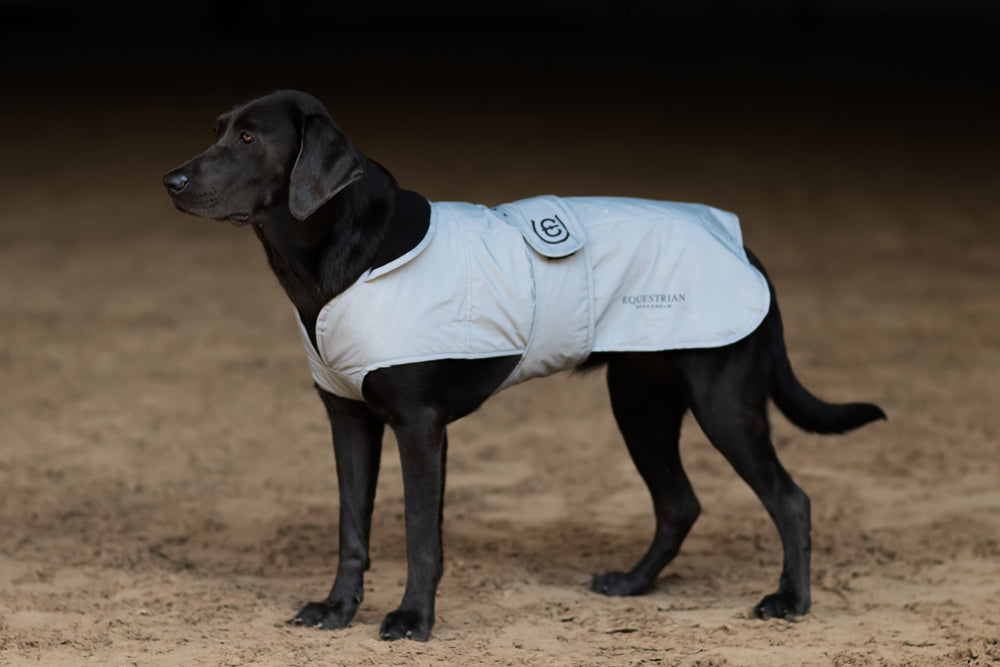 Manta para caballo Equestrian Stockholm Reflective Dog Rug Luminous Black detalle 3