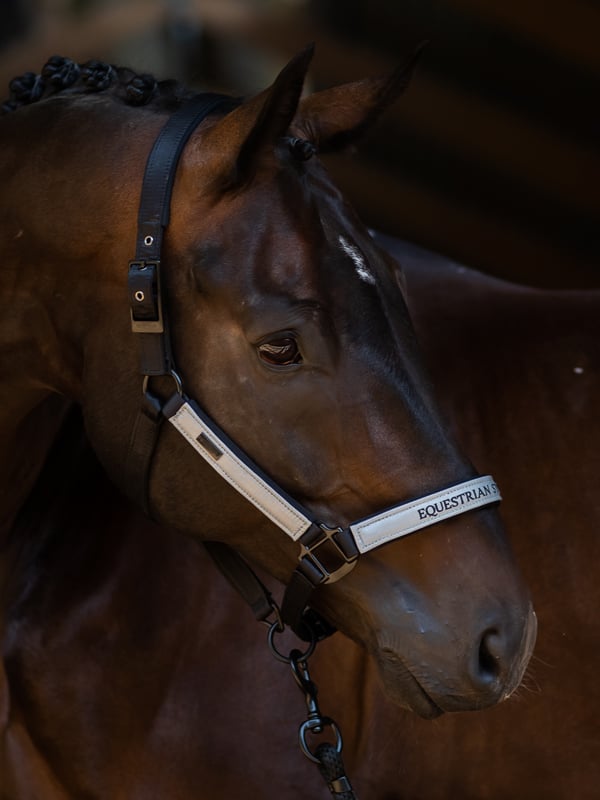 Clean Halter & Lead Rope Equestrian Stockholm Reflective Halter & Lead Rope detalle 2