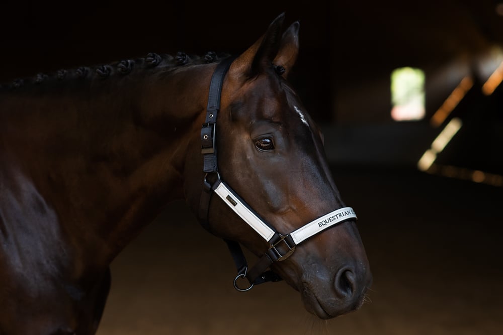 Clean Halter & Lead Rope Equestrian Stockholm Reflective Halter & Lead Rope detalle 4