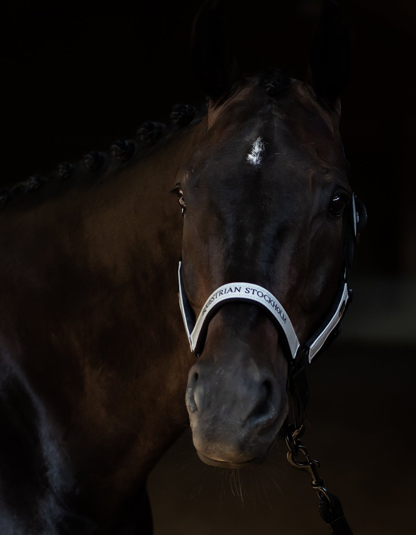 Clean Halter & Lead Rope Equestrian Stockholm Reflective Halter & Lead Rope detalle 5