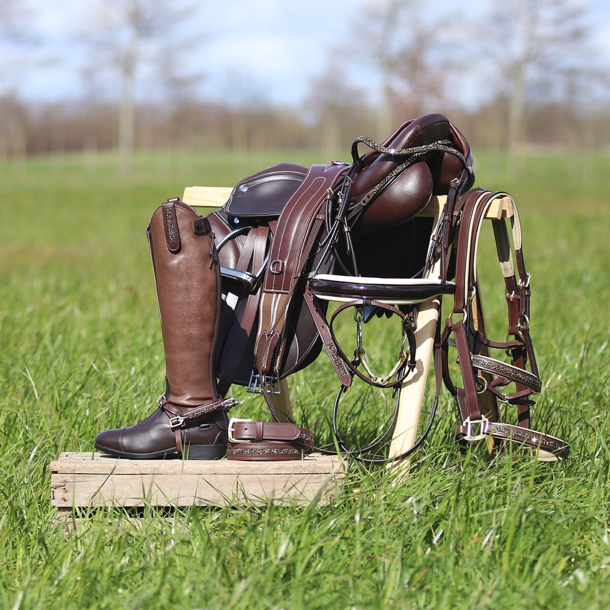 Accesorio ecuestre Silla jewel Lupine QHP para equitación - vista 5