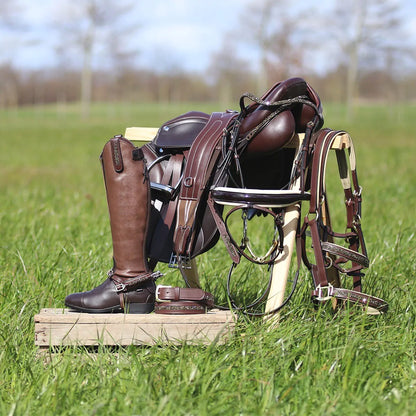 Accesorio ecuestre Silla jewel Lupine QHP para equitación - vista 6