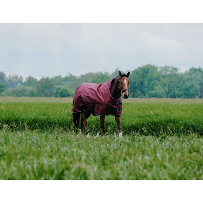Manta - TYREX 1200D - High neck - Equithème para equitación - vista 5