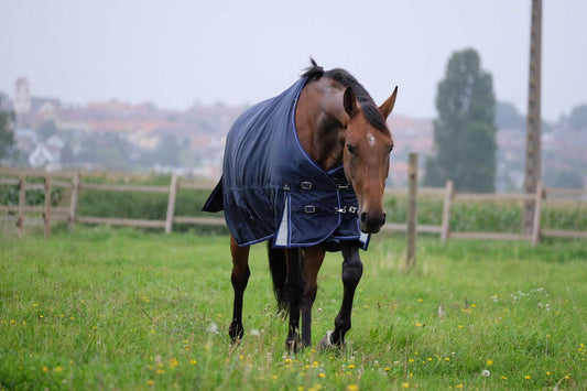 Manta "TYREX 1680D" - Equitheme
