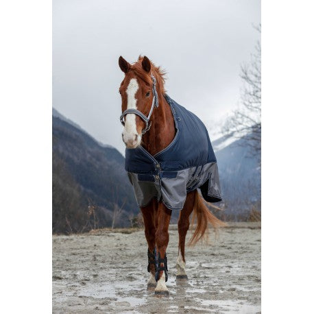 Manta - TYREX 600D - Belly belt - Equithème para equitación - vista 4