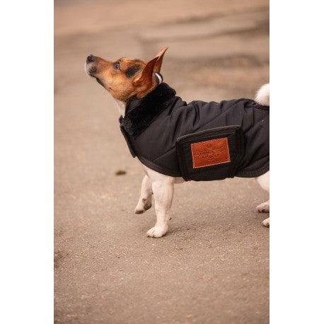 Manta para perro - Diagonal - Paddock para equitación - vista 5