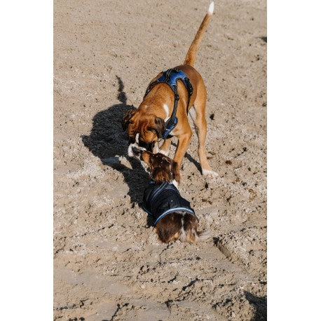 Manta para perros - Eco 600D - Riding World