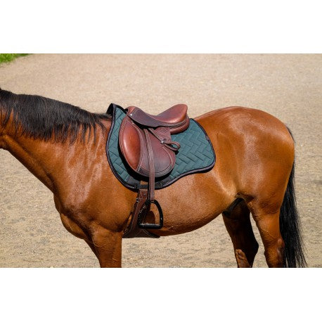 Mantilla - Impulsión - Equithème