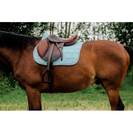 Mantilla - Sunshine - Riding World