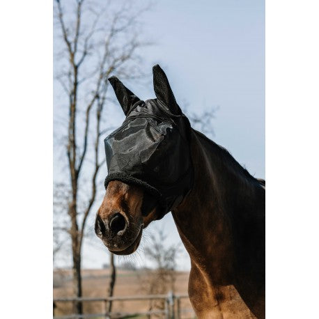 Máscara anti-moscas/UV - Teddy - Equithème para equitación - vista 2